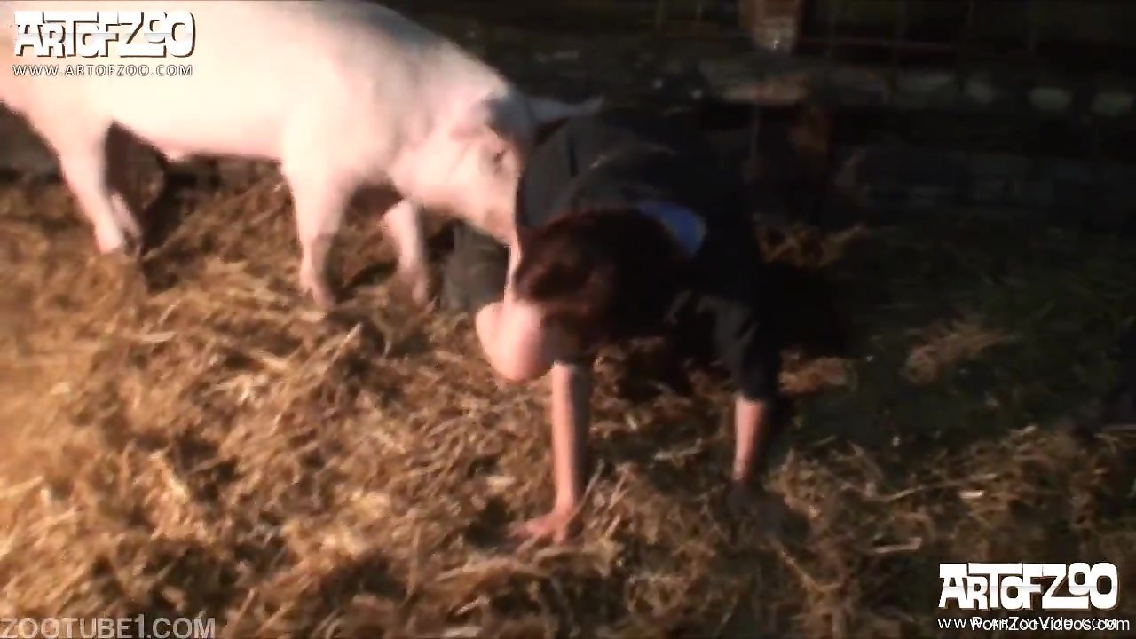 Woman has pig sex in the farm photo