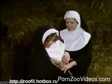 Amateur nuns enjoying donkey for private zoophilia xxx pleasures