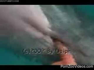 Slutty zoophilia on cam along a man fingering a dolphin's vagina