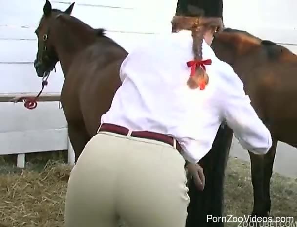 Horse Animal Woman Sex