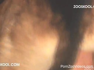 Asian stands nude when sucking a dog's dick