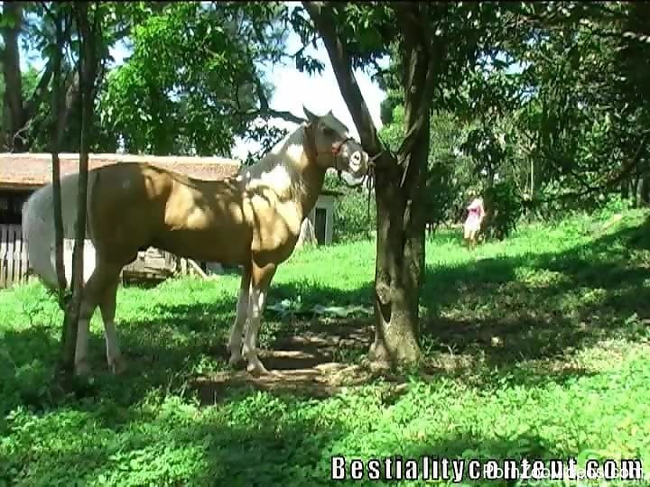 Milly Horse Porn - Real horse porn in outdoor scenes with a hottie