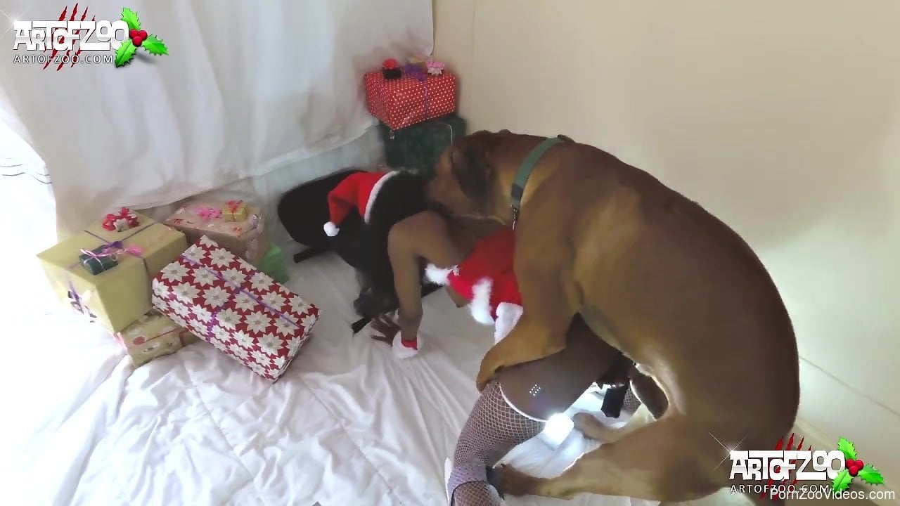 Christmas Dog Porn - At Christmas, massive dog satisfies SantaÃ¢â‚¬â„¢s naughty Ebony helper