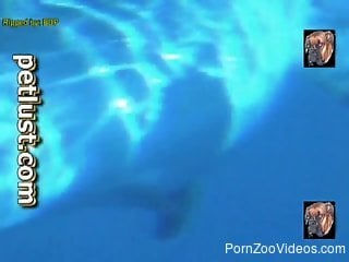 Dolphins are looking so freaking sexy, especially underneath