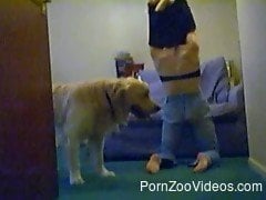 Very big trained doggy is trying to fuck a sexy zoophile