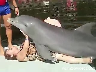 Hilarious porn video featuring a MILF with a dolphin