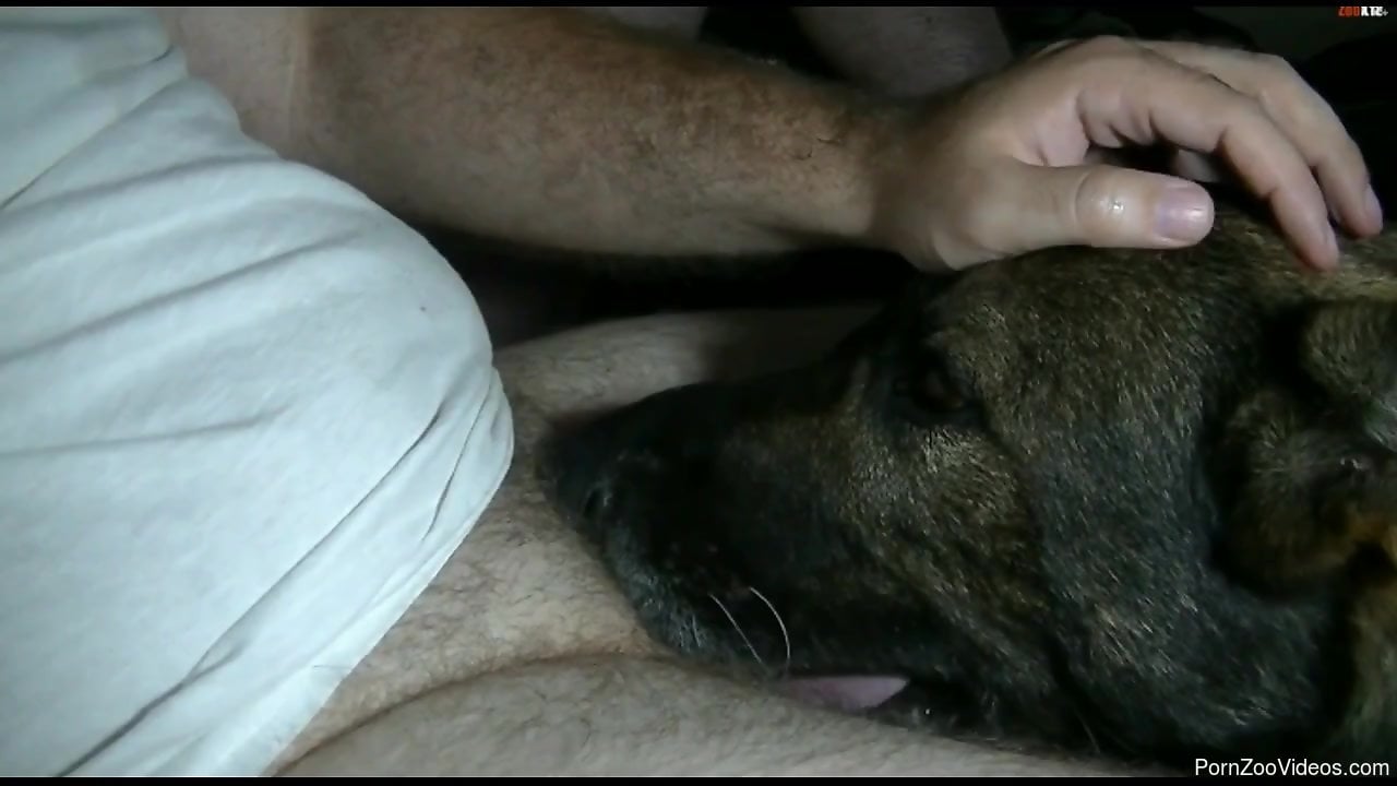 Dog Gives Man Blowjob - Dude with a sexy cock gets a nice blowjob from a dog
