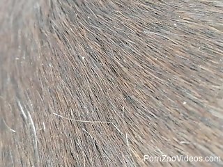 Guy cums deep inside a mare's hot pussy on camera