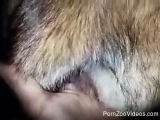 Dude fucking a hot pussy in a free zoo porn video