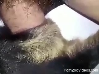 Hot dude fucks a sexy dog in a twisted zoo porn video