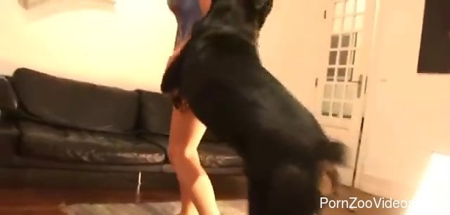 Dog Jens Xxx Www - Short-haired zoophile in ripped jeans fucks a dog