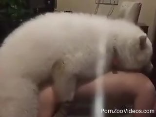 Horny puppy pounding that tight hole from behind