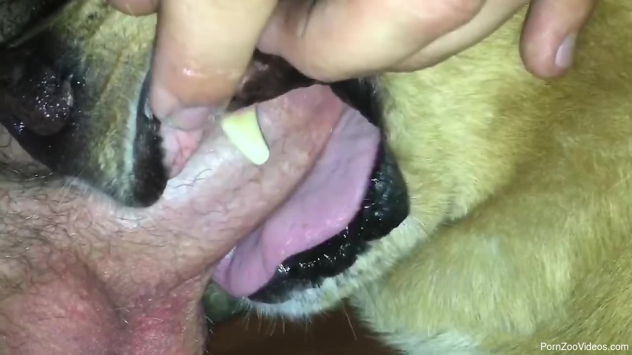 Throat Fucking Dog