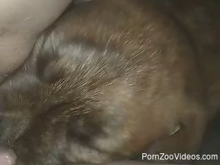 Private POV oral video with a good-looking doggo