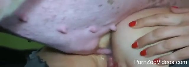 Compilation of the hottest bestiality with pigs