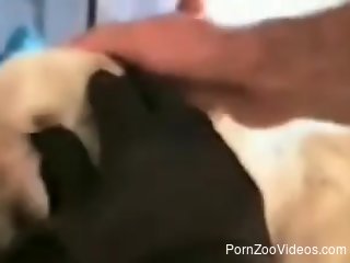 Steamy sex scene with a long-legged zoophile babe