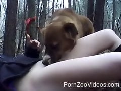Solo nude woman licked in the ass by the dog