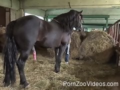 Energized woman is keen to have sex with this stallion