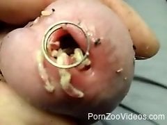 Man inserts worms into his butt hole during masturbation