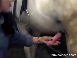 Brunette gets really curious about hardcore bestiality