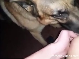 Submissive gal gets licked by her favorite beast