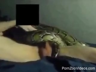 Snake-fucking dude fucks a snake for the camera