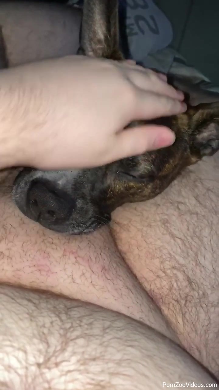 Deepthroat blowjob from a sexy animal with beautiful eyes
