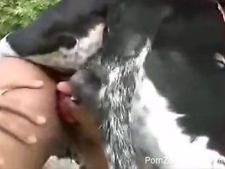 Bubble butt babe gets banged anally by a dog