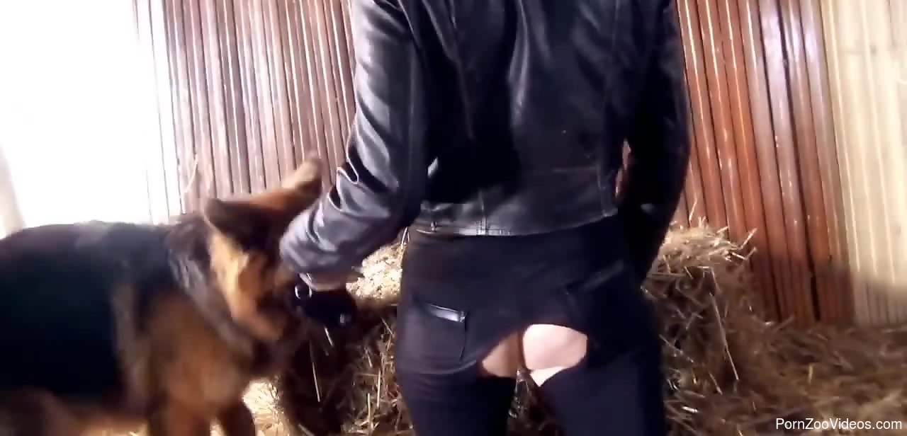 Animal porne