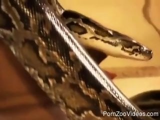 Sexy snake slithering ALL over her magnificent body