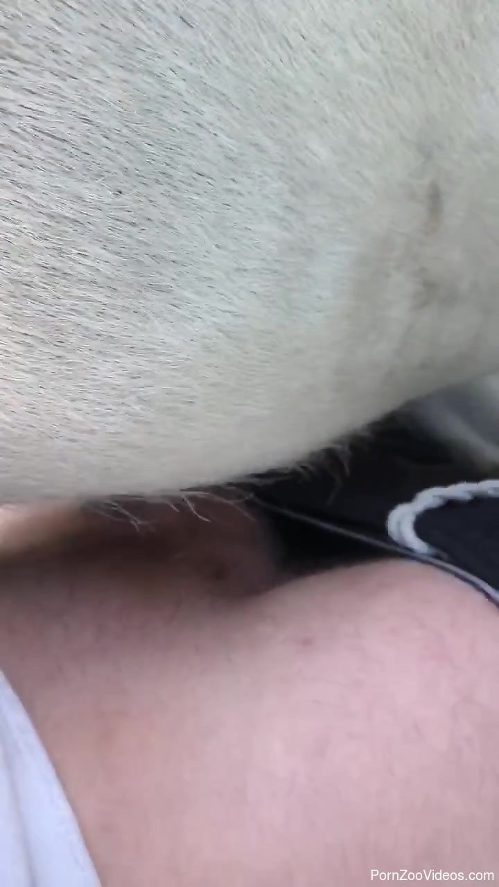 Guy with a veiny penis dominating a sexy creature