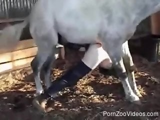 White horse fucking a tight hole from behind