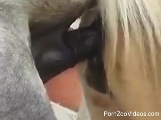 Pretty horses fucking with lots of deep insertion