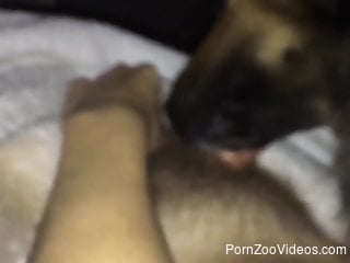 Man leaves his furry friend lick that dick a little