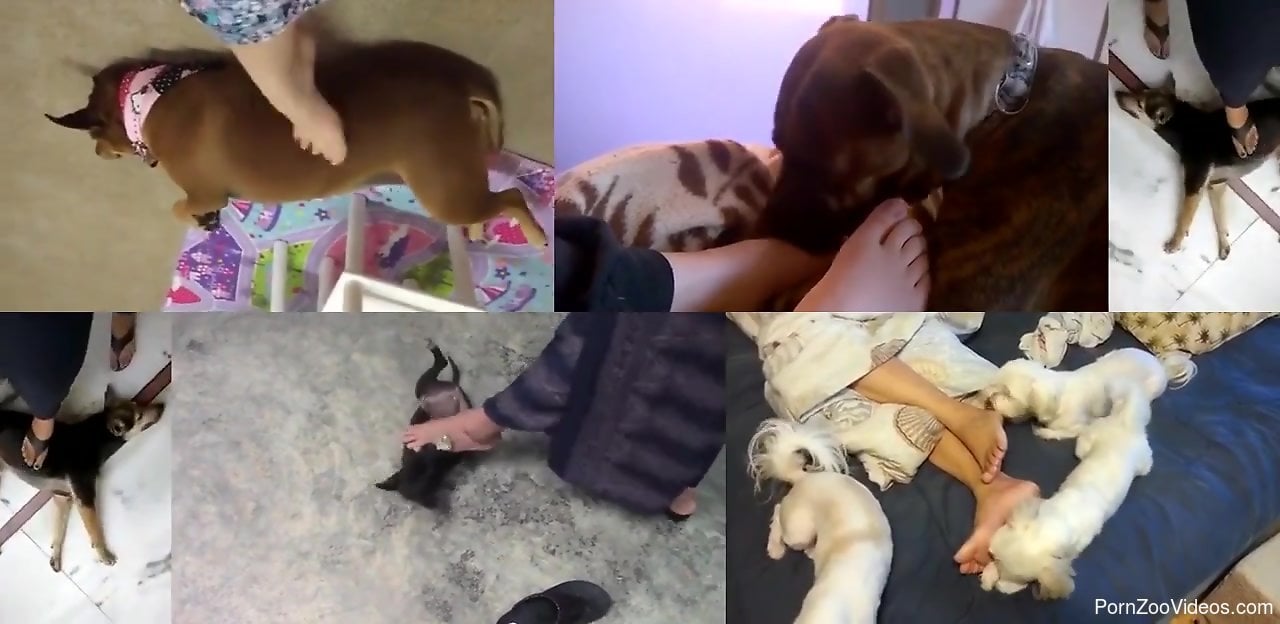 Hot collection of foot fetish action with a tramp