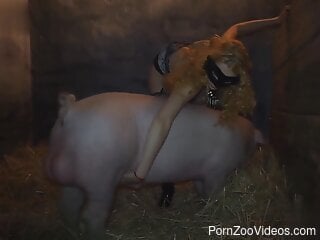 Horny amateur lady is going to get off with a pig