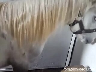 White mare getting fisted by a horny zoophile