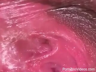Horny female inserts worms deep in her greedy vagina