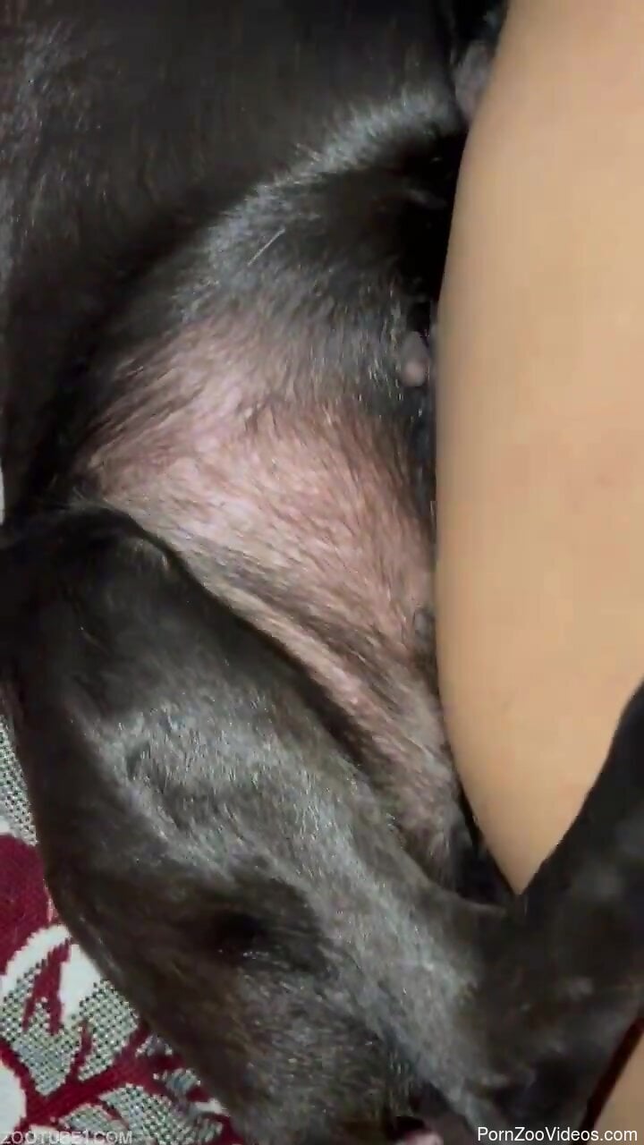 Dude is going to penetrate the animal real hard