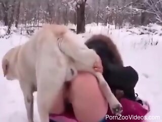 Curious female lands tasty dog dick right in her wet cunt