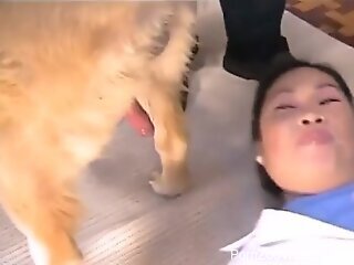 Nude Asian woman ass fucked by the dog during live cam scenes