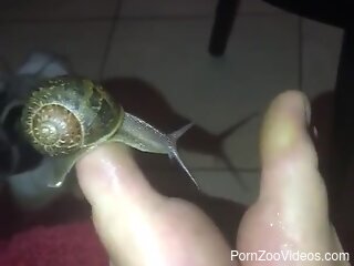 Horny man puts a snail on his dick for better stimulation