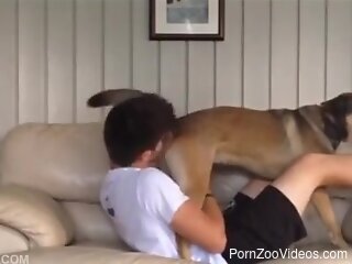 Aroused dude likes licking his dog's pussy and fucking