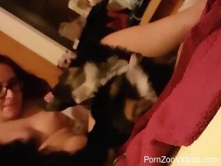 Sexy woman filmed at home involving the dog in her sex play
