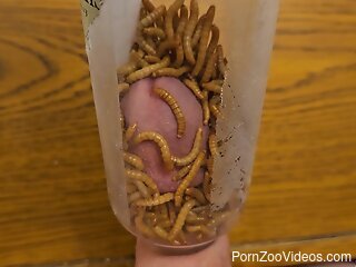 Horny man sticks his big dick in a jar filled with worms