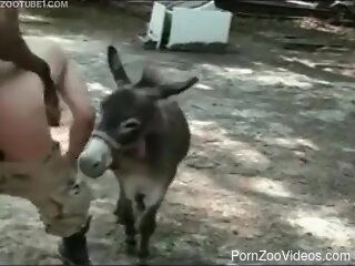 Nude man gets ass fucked by a donkey in outdoor scenes