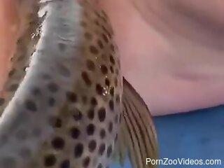 Sexy woman masturbates by putting a fish in her shaved cunt