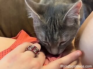Small kitten licks woman's wet pussy in magnificent ways