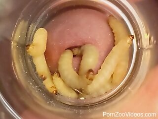 Horny man puts his dick in an jar filled with worms