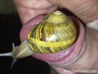 Man puts snails on his dick for a better jerk off